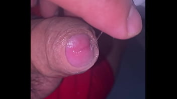 Pekeshow1620 update #16 6b3b3d4c 2069 49f3 97ea 607a8f23feed mar 23 2025