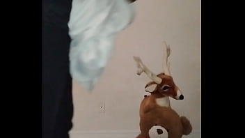 Waking up in the morning and thinking of more ways to make my arms the same size as my legs with more pushups and stretching before getting ready for another day of work 1