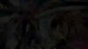 Golden experiência flamenguista