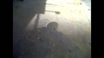 Transparencia thumbnail