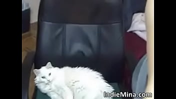 Steamy pretty brunette hoe screw