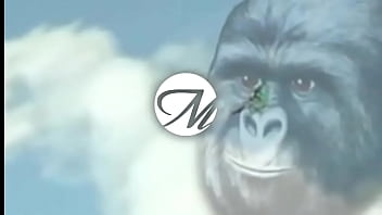 Only Blowjobs thumbnail