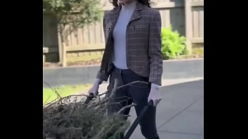 Working hard or hardly innocent you decide