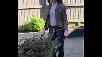 Working hard or hardly innocent you decide