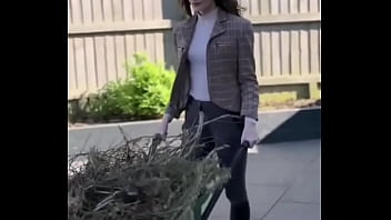 Working hard or hardly innocent you decide