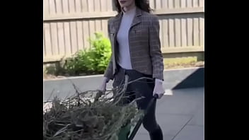 Working hard or hardly innocent you decide