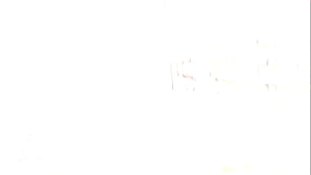 Noise cumplaint princess gemini and mysterious