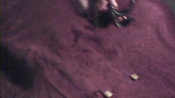 Video bokep part 10281338