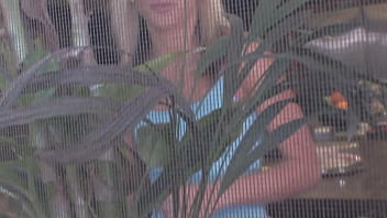 Kacey jordan fucked by alex sanders