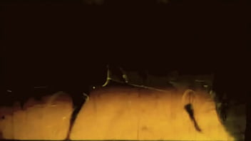 Vintage erotic drawings