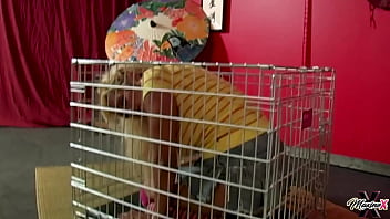 Dominating scott rhodes makes maxine x suck & ass fuck his dick