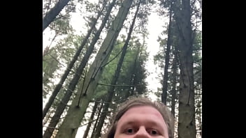 Adding More Wood To The Forest thumbnail