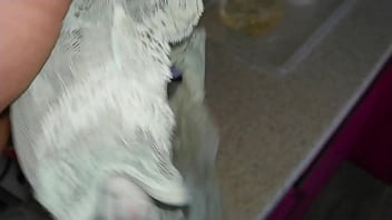 Tasting Gf's Sexy Dirty Tnong thumbnail