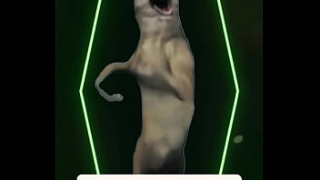 New strength new life a storm that creates instead of destroys