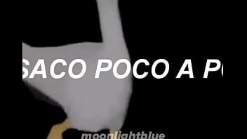 Vídeo de verificación