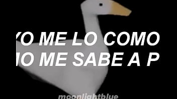 Vídeo de verificación