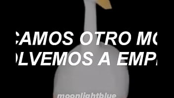 Vídeo de verificación