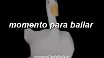 Vídeo de verificación