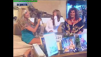 Live television panty oops upskirt as a hottie picks up a dog and leaves her underwear on display Live television panty oops upskirt as a hottie picks up a dog and leaves her underwear on display
