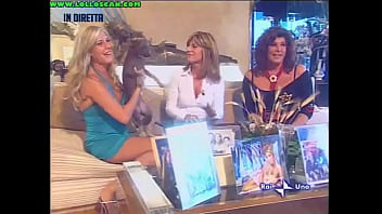 Live television panty oops upskirt as a hottie picks up a dog and leaves her underwear on display Live television panty oops upskirt as a hottie picks up a dog and leaves her underwear on display