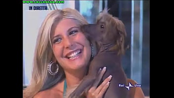 Live television panty oops upskirt as a hottie picks up a dog and leaves her underwear on display