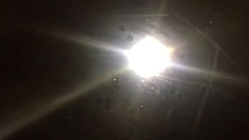 Stallions mares office of the creator