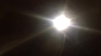 Stallions mares office of the creator