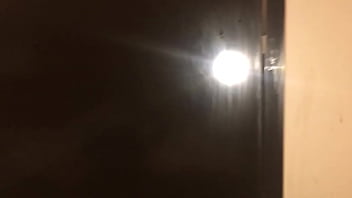 Stallions mares office of the creator