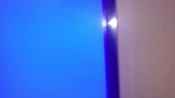 Stallions mares office of the creator