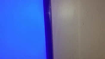 Stallions mares office of the creator