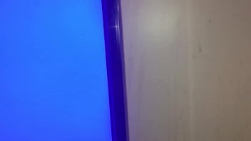 Stallions mares office of the creator