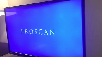 Stallions mares office of the creator