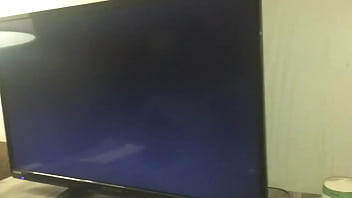 Stallions mares office of the creator