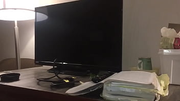 Stallions mares office of the creator