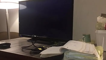 Stallions mares office of the creator