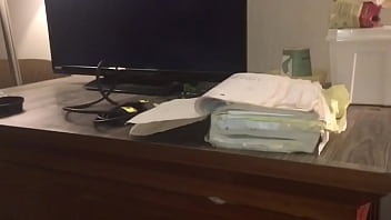 Stallions mares office of the creator