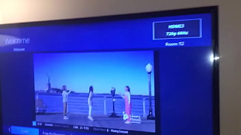 Stallions mares office of the creator