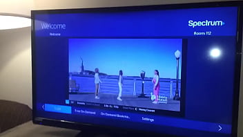 Stallions mares office of the creator