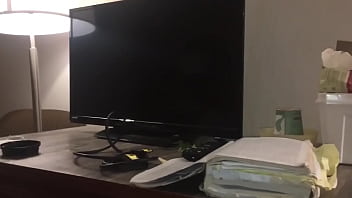 Stallions mares office of the creator