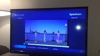 Stallions mares office of the creator