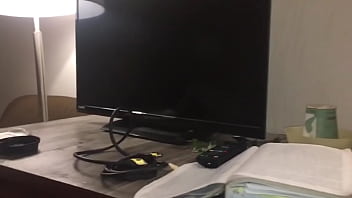 Stallions mares office of the creator