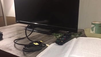 Stallions mares office of the creator