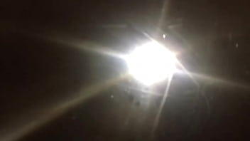 Stallions mares office of the creator