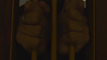 A revanche apresenta lua