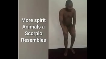 More ways to describe how and why the scorpio zodiac can still be a butterfly although they are a teddy bear a wolf also a boar sometimes as learned from online research for free and for fun More ways to describe how and why the scorpio zodiac can still be a butterfly although they are a teddy bear a wolf also a boar sometimes as learned from online research for free and for fun