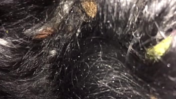 Head from brooklyn thot