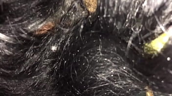 Head from brooklyn thot