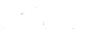 Thick ebony slut nina rivera plays with her pussy in the woods