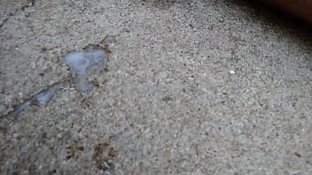 Correndo risco de alguém ver