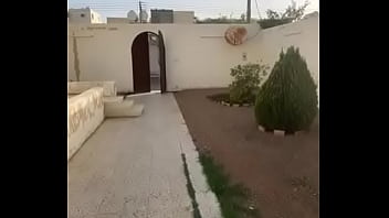 فيديو التحقق